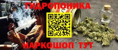амф Шебекино