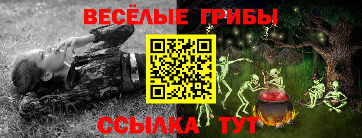 Анапа  Галлюциногенные грибы мицелий  Псилоцибиновые грибы Cubensis  Вход с VPN 